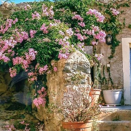 코르바라 Le Patio. Casa Mucchielli B&B 외부 사진
